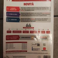 Il portico dipinto 1