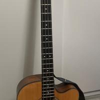 Basso acustico elettrificato cort sjb5F NS