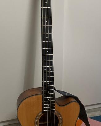 Basso acustico elettrificato cort sjb5F NS