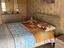 Immagine 22