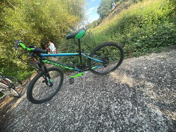 bicicletta