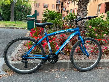 Bici Frejus X24