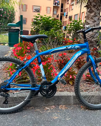 Bici Frejus X24