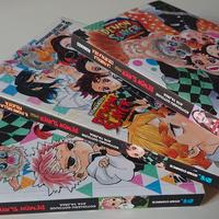 DEMON SLAYER romanzi - fiore, segnali, farfalla