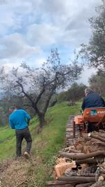 Legna da ardere di Qualità - prod. propria