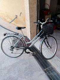 N.2 biciclette (Lombardo) + stepper omaggio