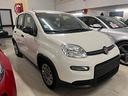 fiat-panda-1-0-firefly-s-s-hybrid-icon