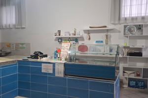 Attivita' commerciale