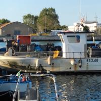 Barca con licenza da pesca