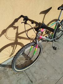 Mountain bike uomo 26 pollici 29 euro 