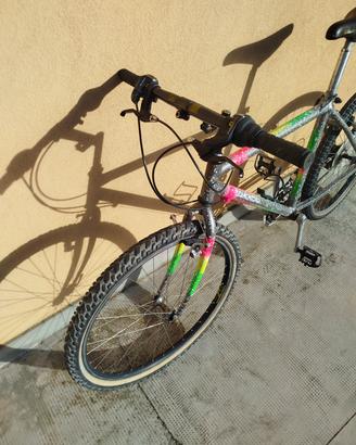 Mountain bike uomo 26 pollici 29 euro 