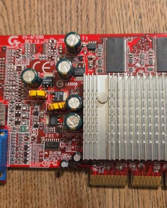 SCHEDA VIDEO AGP GIGABYTE GV-AF128D