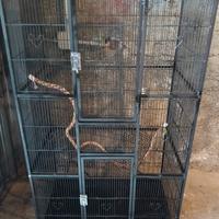 gabbia per roditori/voliera