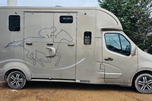 Van trasporto cavalli