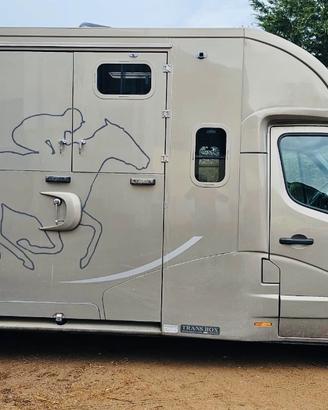 Van trasporto cavalli