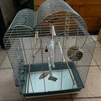 Gabbia Cocorite Canarini