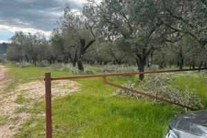 Terreno a Puglietta - Campagna - salerno