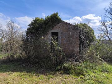 Vitorchiano terreno con casale
