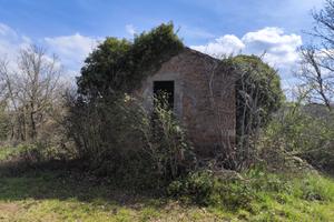 Vitorchiano terreno con casale