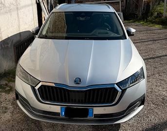 Km certificati. Skoda Octavia sw diesel automatica