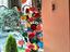 Immagine 2