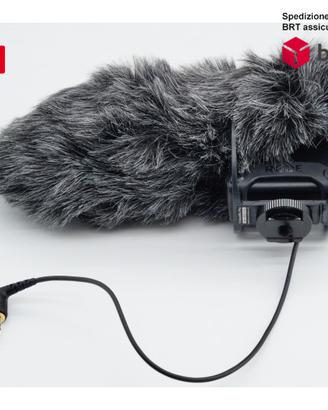 RODE VideoMic Pro