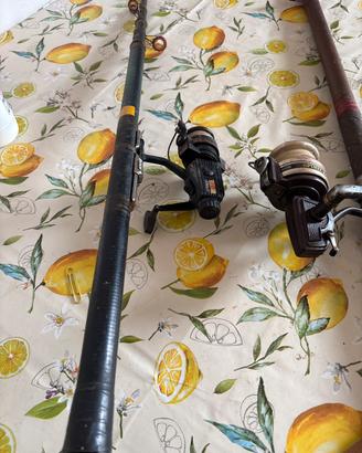 2 canne da pesca