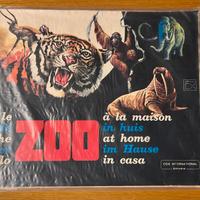 Lo zoo in casa uccelli