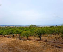 Terreno Agricolo [Rif: C-16]