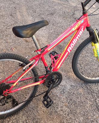 bicicletta 