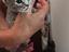 Immagine 4