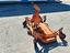 Immagine 7