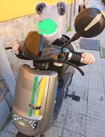 Bici elettrica Sonic