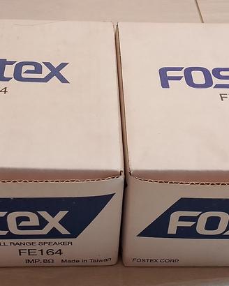 Coppia FOSTEX FE164 fullrange nuovi