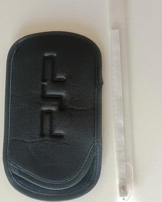 Custodia per Psp