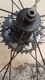 Ruota da corsa e selle