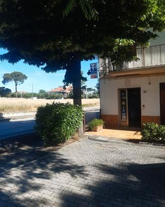 LOCALE COMMERCIALE 25mq
