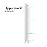 Apple Pencil 2 (seconda generazione)