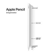 Apple Pencil 2 (seconda generazione)