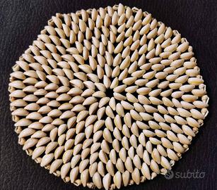 SOPRAMMOBILE CENTROTAVOLA di conchiglie