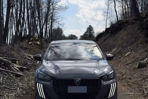 Peugeot 208 2024