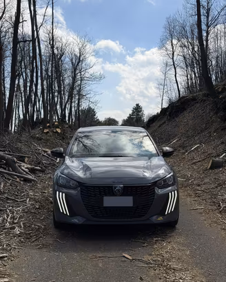 Peugeot 208 2024