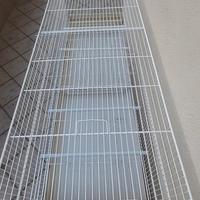 voliere da 120cm per canarini e altro