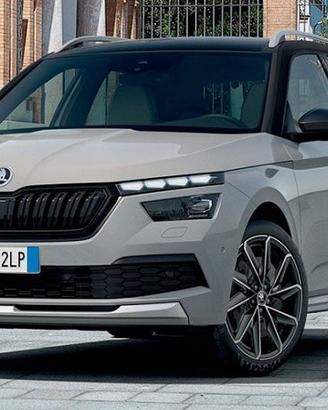 Ricambi usati skoda kamiq-rapid 2012-2024