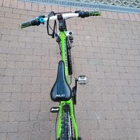 bicicletta