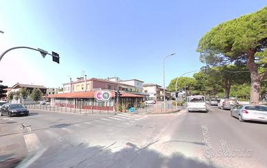 Cavallino - grazioso mini libero da subito