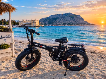 bicicletta elettrica 
