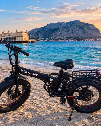 bicicletta elettrica 