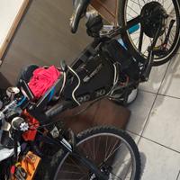bici elettrica 