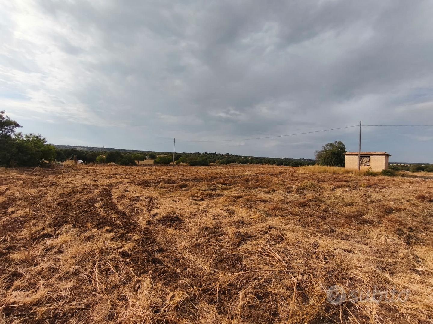 Terreno agricolo - Vista 4